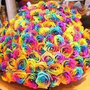 Meet your Posher, Tricie